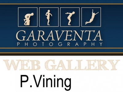 P.Vining
