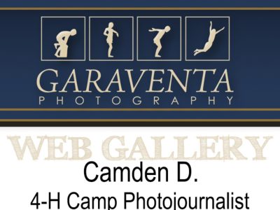 0001a-WEB-Gallery-Headers-copy-copy